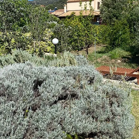 Bed & Breakfast Lecallebed-breakfast Chia
