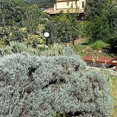 Lecallebed-breakfast 3* Chia